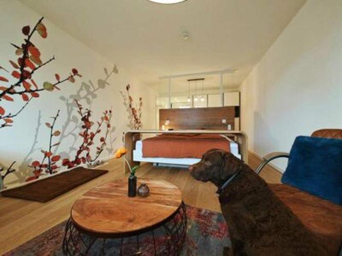 Artroom Boarding Apartment Bissendorf Екстериор снимка